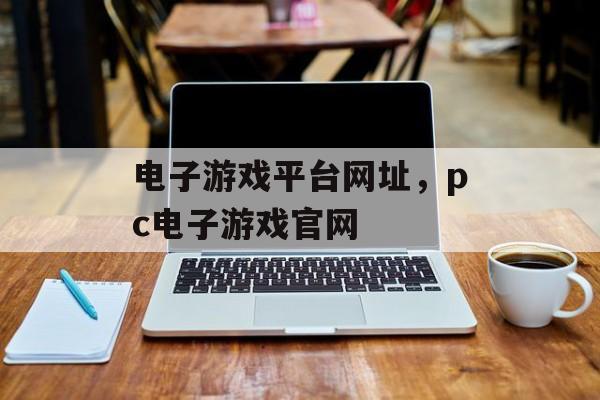 电子游戏平台网址，pc电子游戏官网